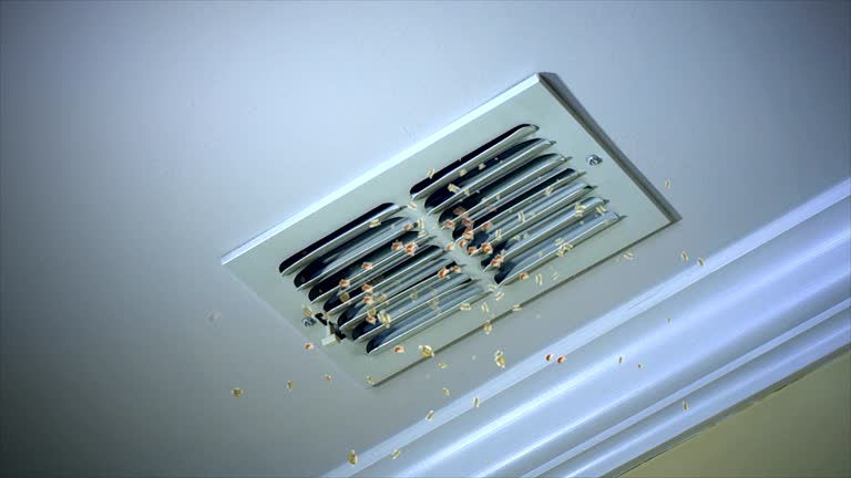 Best Professional Duct Cleaning Services  in Naval Academy, MD